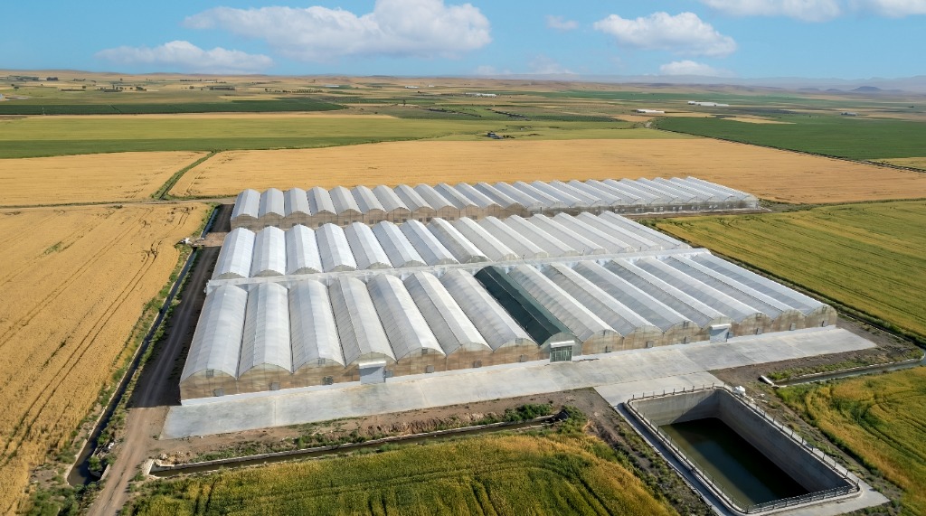 Gandom Dasht Greenhouse